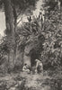 ITALY. A Garden Spring in Capri 1877 old antique vintage print picture