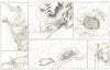 SPAIN. Tarragona Cadiz Badajoz Lleida Lerida Tortosa Ciudad-Rodrigo 1859 map