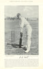 Henry Knollys Foster. Worcestershire. Batsman. Oxford cricketer 1895 old print