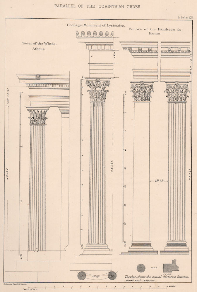 CLASSICAL ARCHITECTURE. Parallel of the Corinthian order 1902 old print ...