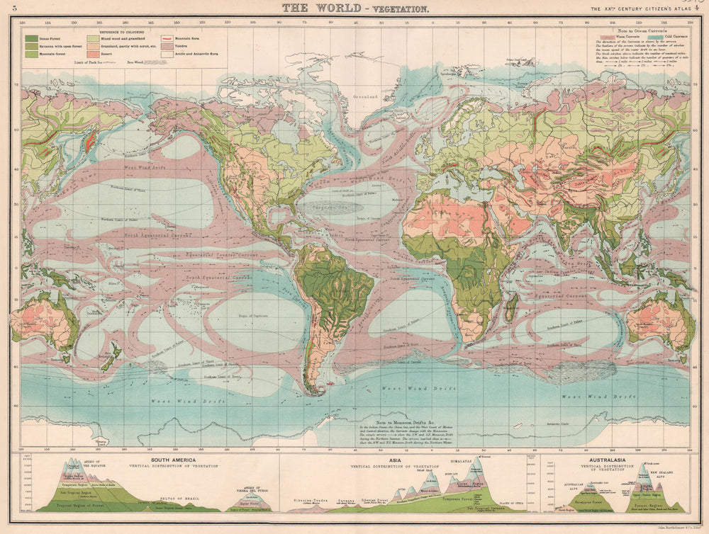 WORLD VEGETATION & OCEAN CURRENTS.& vertical distribution of vegetation 1901 map