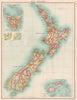 NEW ZEALAND.Showing counties.Inset Tasmania & Fiji Islands.BARTHOLOMEW 1901 map