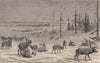 ARCTIC. Laplanders and Reindeer 1882 old antique vintage print picture