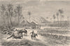 NIGERIA. Oasis of Ederi, Fezzan 1882 old antique vintage print picture