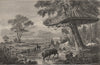 BIRDS. Community of African Sociable Grossbeaks 1882 old antique print picture