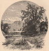 MASSACHUSETTS. Northampton Meadows 1874 old antique vintage print picture