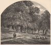 BALTIMORE. Druid Hill Park. Maryland 1874 old antique vintage print picture
