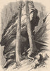 NEW YORK STATE. Druid Rocks. Catskills 1874 old antique vintage print picture