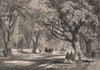 CALIFORNIA. Oaks of Oakland. Carriages 1874 old antique vintage print picture