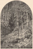 PENNSYLVANIA. Pine Forest on west branch of the Susquehanna 1874 old print