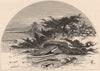 NEW YORK STATE. Prince George 1874 old antique vintage print picture
