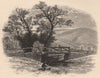 MASSACHUSETTS. Mount Washington, from Sheffield. Fishing. Housatonic 1874