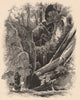 MASSACHUSETTS. Ice Glen, Stockbridge. Artist painting. Housatonic 1874 print