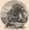 GENESEE VALLEY. Elms on the Genesee Flats. Haycart. New York State 1874 print