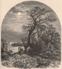 MASSACHUSETTS. Point of Cape Ann, from Cedar Avenue, Pigeon Cove 1874 print