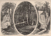 PENNSYLVANIA. Scenes in and about Milford. Raymondskill Sawkill 1874 old print
