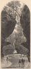WISCONSIN. In Rood's Glen 1874 old antique vintage print picture