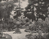 Arizona Garden, Hotel Del Momte, Monterey, California. Hermann Hall 1895 print
