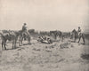 Branding cattle in the western prairies, North America 1895 old antique print