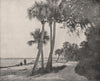 Indian River, Florida 1895 old antique vintage print picture