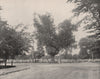 The Washington Elm, Cambridge Common, Cambridge, Massachusetts 1895 old print