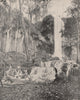 Deer Lick Falls, Mineral Springs, Virginia 1895 old antique print picture