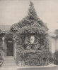 Cottage of roses, Street South Spring Street, Los Angeles, California 1895