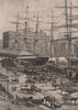 Shipping, CIRCULAR QUAY, SYDNEY. Australia 1888 old antique print picture