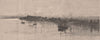 The Clarence, at GRAFTON. New South Wales. Australia 1888 old antique print