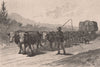 On the road to CAMPERDOWN. Victoria, Australia 1888 old antique print picture