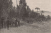 Hop-Picking near BAIRNSDALE. Victoria, Australia 1888 old antique print