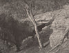 Kelly's Cave, MANSFIELD. Victoria, Australia 1888 old antique print picture