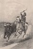 Rounding up a Straggler on a Cattle-Run. QUEENSLAND. Australia 1888 old print