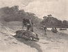 Turtle-catching. Australia 1888 old antique vintage print picture