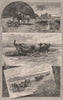 Harvesting in SOUTH AUSTRALIA 1888 old antique vintage print picture