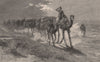 Camels carrying wool. NORTHERN TERRITORY, Australia 1888 old antique print