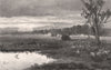 The DARLING DOWNS. New South Wales. Australia 1888 old antique print picture