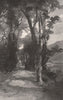 Road on the TEREMAKAU. New Zealand 1888 old antique vintage print picture