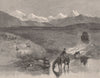 MACKENZIE PLAINS. New Zealand 1888 old antique vintage print picture