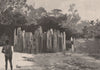 Native Drums. Pacific Islands 1888 old antique vintage print picture