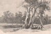 Making a bark canoe. Australia 1888 old antique vintage print picture