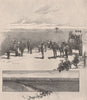 Vineyard near Singleton. HUNTER VALLEY. Australia 1888 old antique print