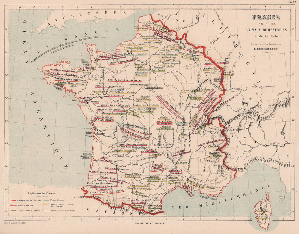 FRANCE FARM ANIMALS. Domesticated. Cows goats sheep geese ducks &c 1880 map