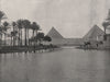 GIZA. The Pyramids and the Nile. Egypt 1895 old antique vintage print picture
