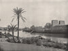 PHILAE. The island, with the Temple of Isis. Egypt 1895 old antique print