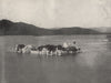 UDAIPUR. The Winter Palace. Now the Lake Palace Hotel. India 1895 old print