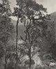 KURUNEGALA. View on the Kelani river. Sri Lanka 1895 old antique print picture