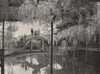 TOKYO. The Shinji-No-Ike Pond, and wistaria, Kameido. Japan 1895 old print