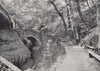 SHANKLIN. The Chine. Isle of Wight 1895 old antique vintage print picture