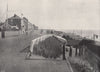 SOUTHWOLD. The North Cliff. Suffolk 1895 antique vintage print picture
